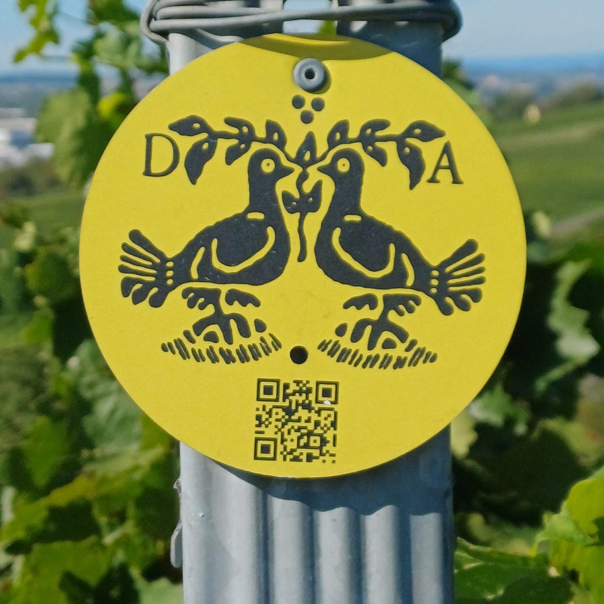 VDP.friends Weintour - 15. November 2026 | Brasserie Stadthaus im Living Hotel de Medici