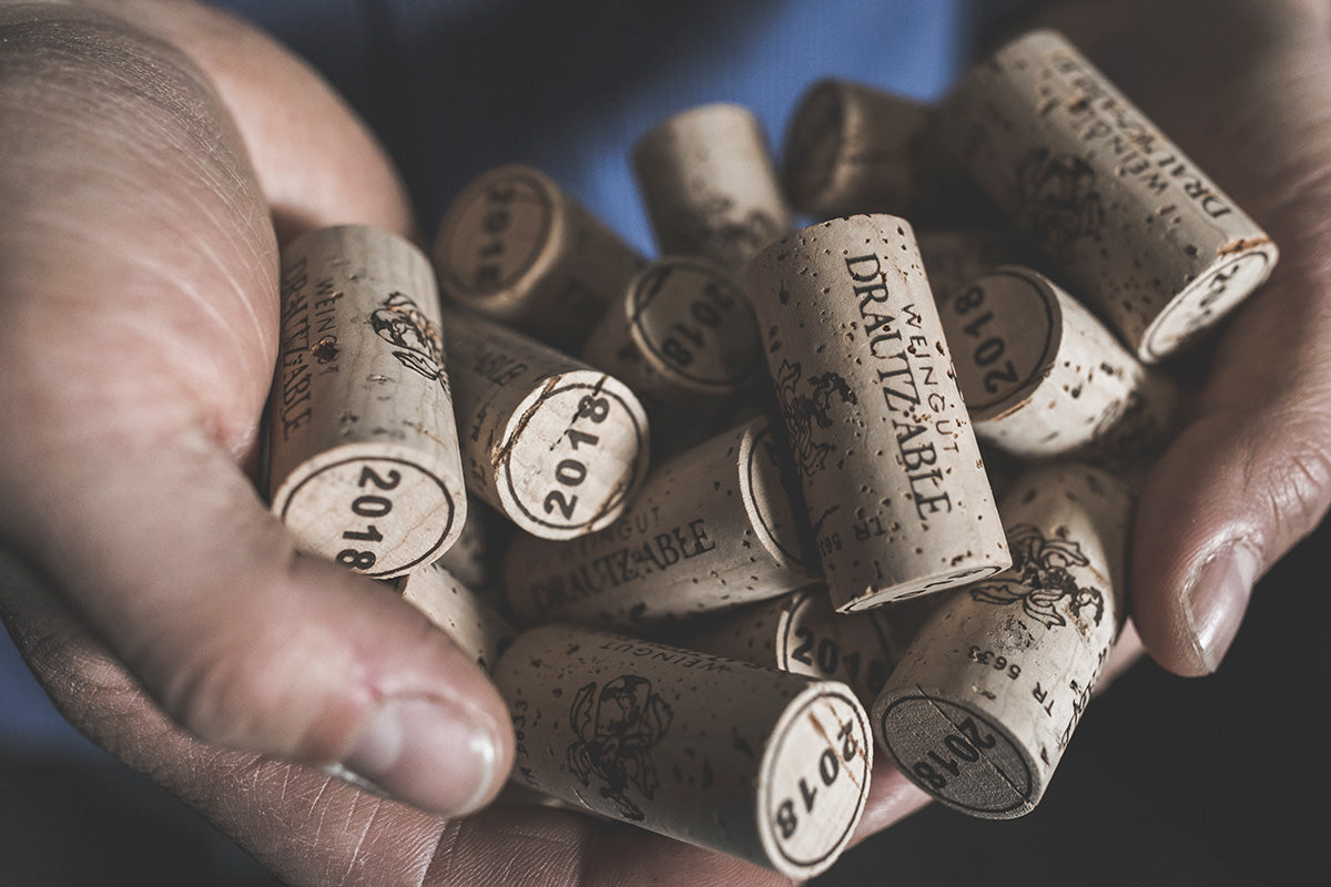 VDP.WEINBÖRSE | 26. April & 27. April 2026 - nur für Fachbesucher